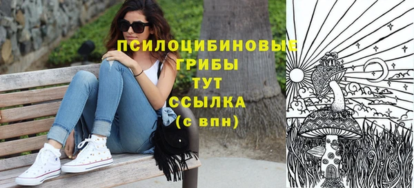 эйфоретик Баксан