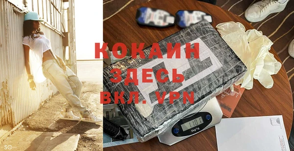 прущие грибы Балабаново
