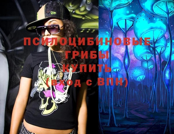прущие грибы Балабаново