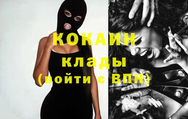 прущие грибы Балабаново
