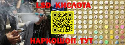крисы Гагарин