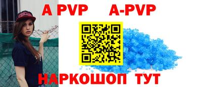 крисы Гагарин