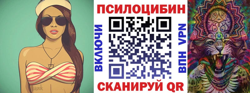 закладка  Гай  Галлюциногенные грибы MAGIC MUSHROOMS 