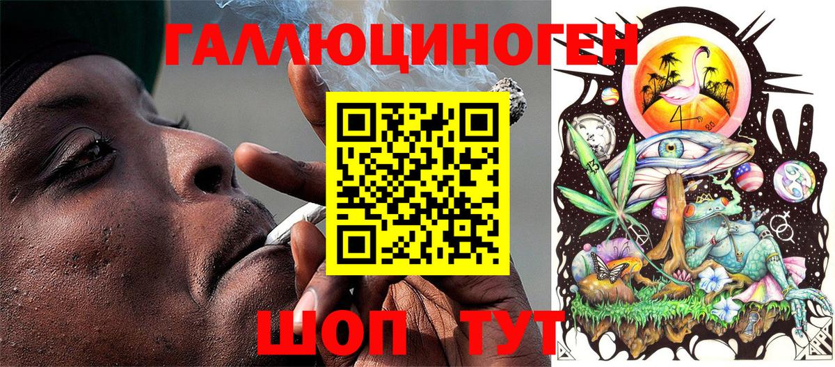 Гай  Галлюциногенные грибы прущие грибы  Галлюциногенные грибы Psilocybe  Вход с VPN 