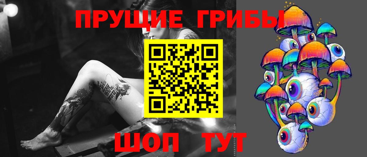 Псилоцибиновые грибы Cubensis Гай