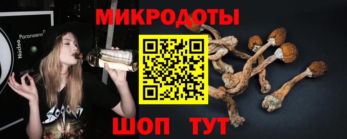 Галлюциногенные грибы прущие грибы Гай