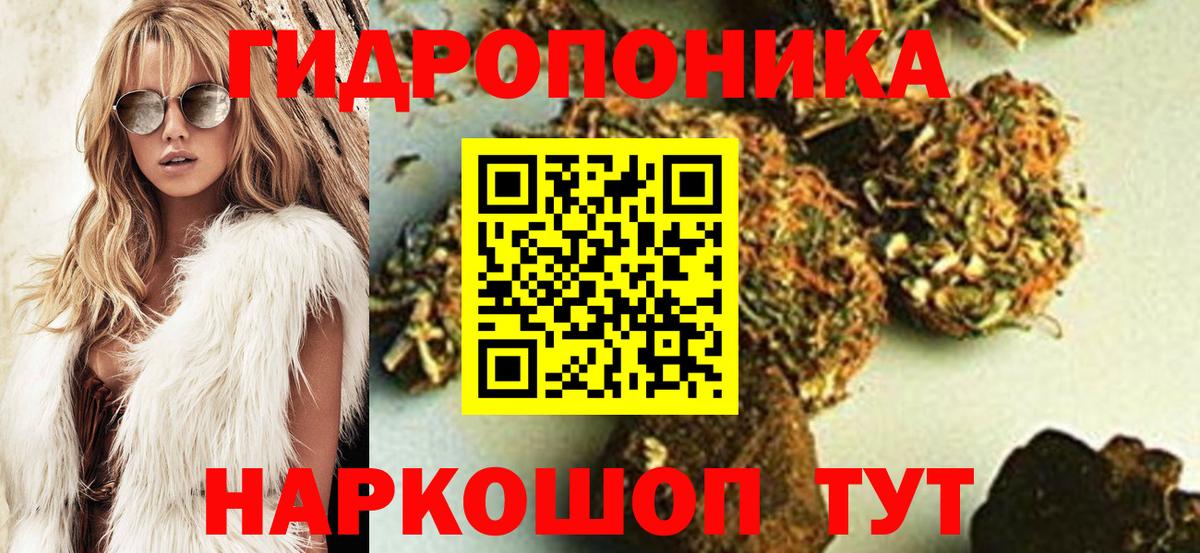 Гай  МАРИХУАНА VHQ  Вход с VPN  Бошки марихуана план  Каннабис Amnesia 
